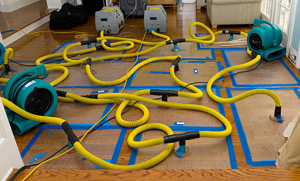 Professional Emergency Water Removal technician working in China Grove, TX